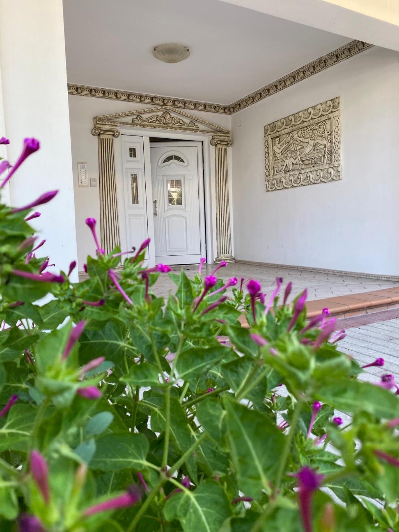 Roula Apartment Néi Póri Kültér fotó